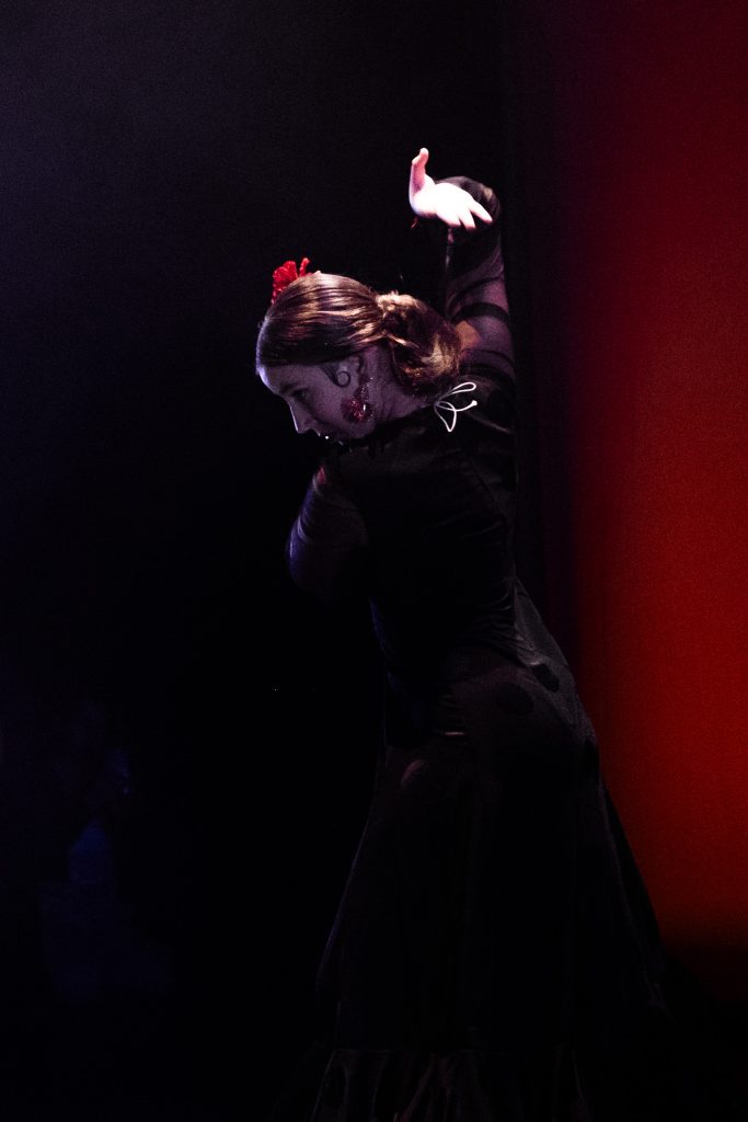 FOTO 5 FLAMENCO SIN EDAD